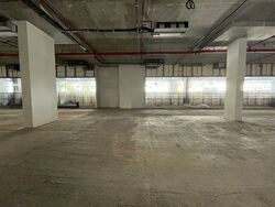  (D7), Retail #444387771
